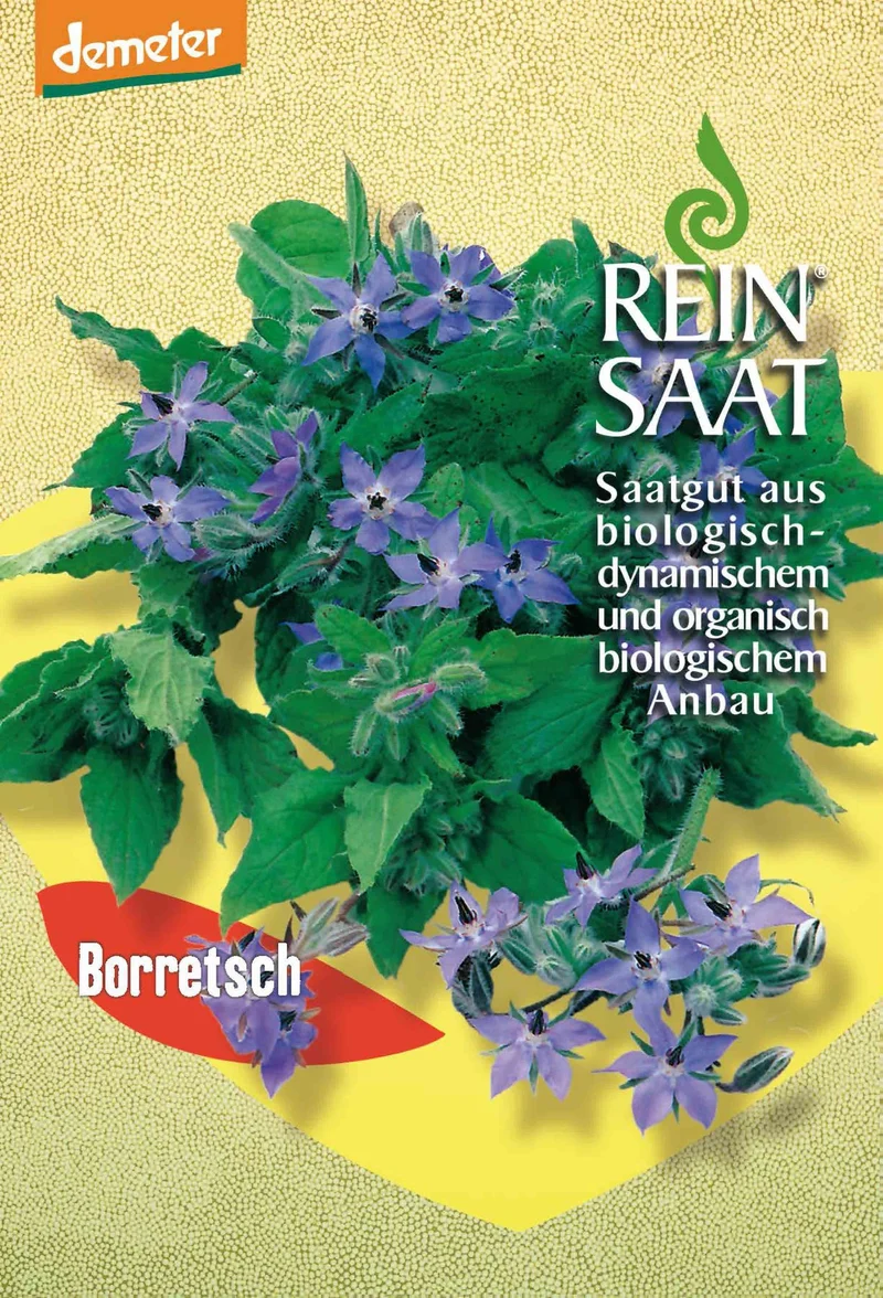 Borretsch | BIO Borretschsamen von Reinsaat [MHD 12/2025]