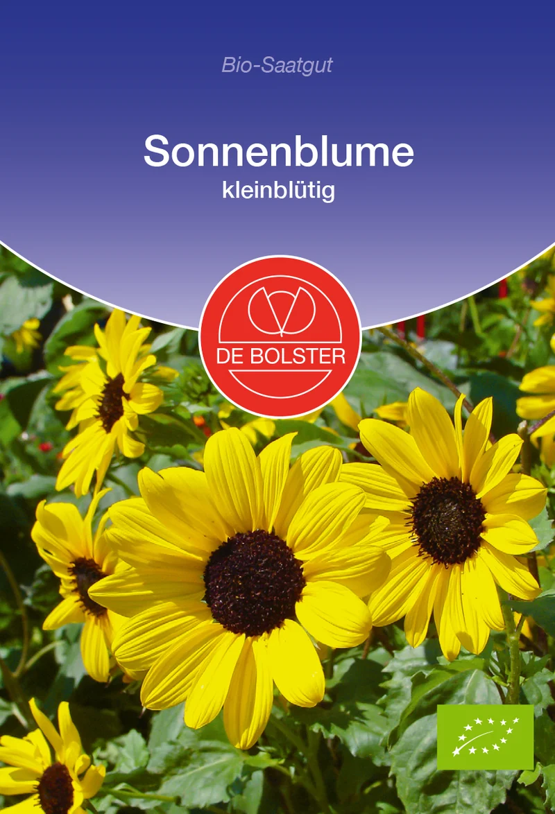 Sonnenblume kleinblütig | BIO Sonnenblumensamen von De Bolster [MHD 12/2025]