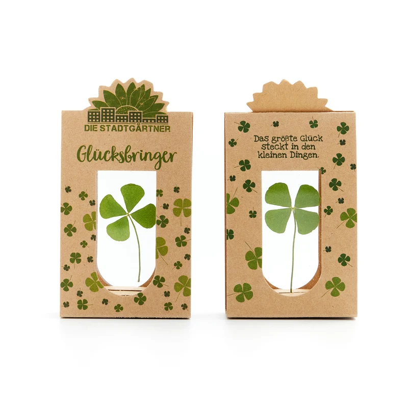 Glücksbringer – Echtes Kleeblatt