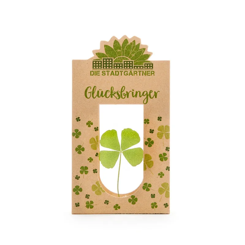Glücksbringer – Echtes Kleeblatt