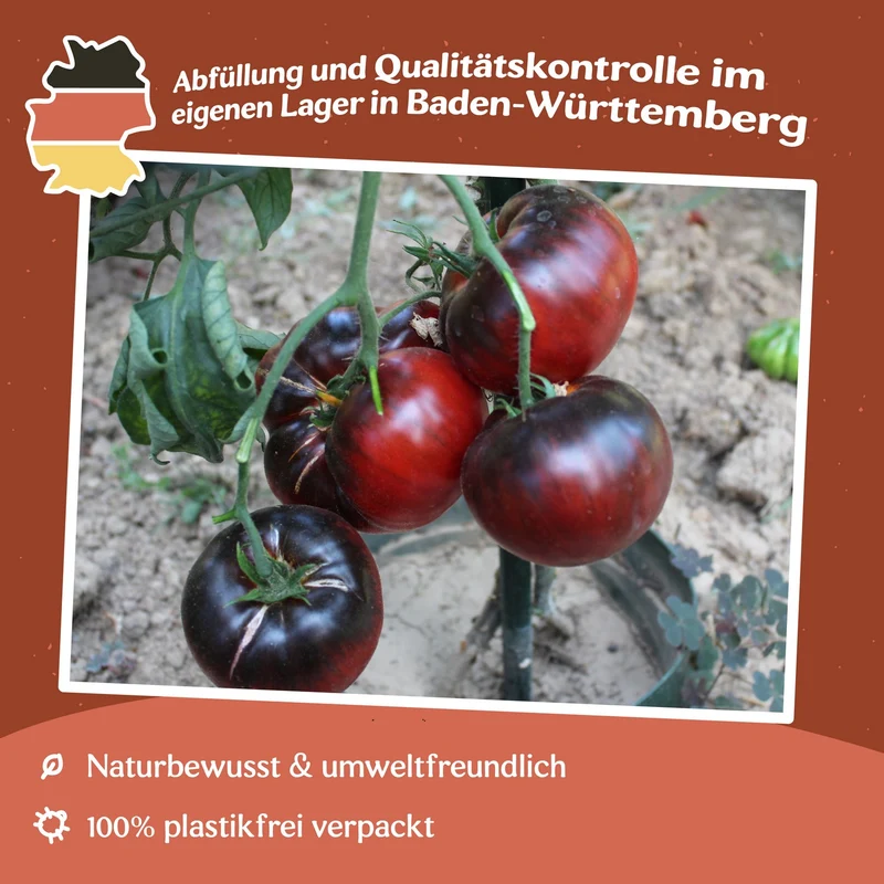 Black Beauty Tomatensamen