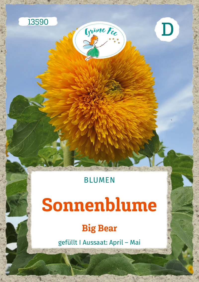 Sonnenblume Big Bear Saatgut