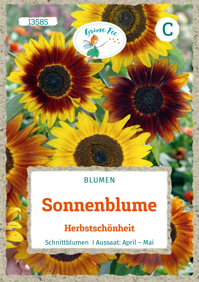 Sonnenblume Herbstschönheit Saatgut