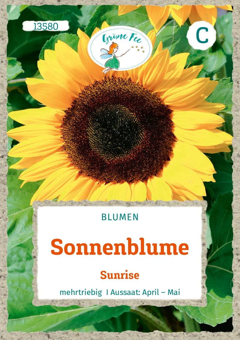 Sonnenblume Sunrise Saatgut