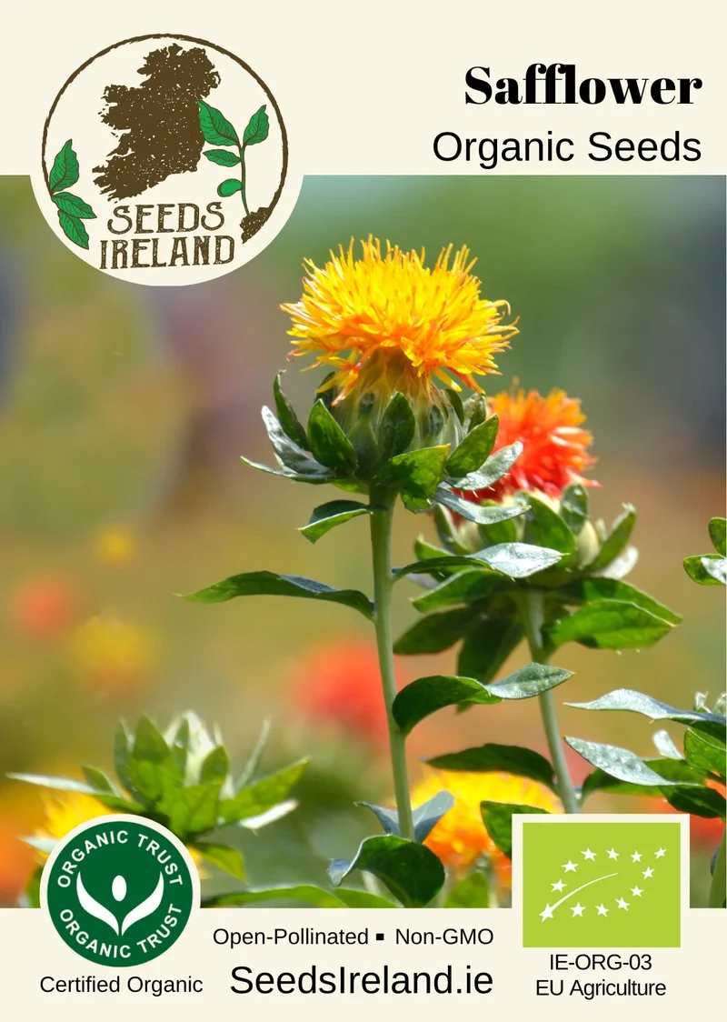 Safflower Organic Seed