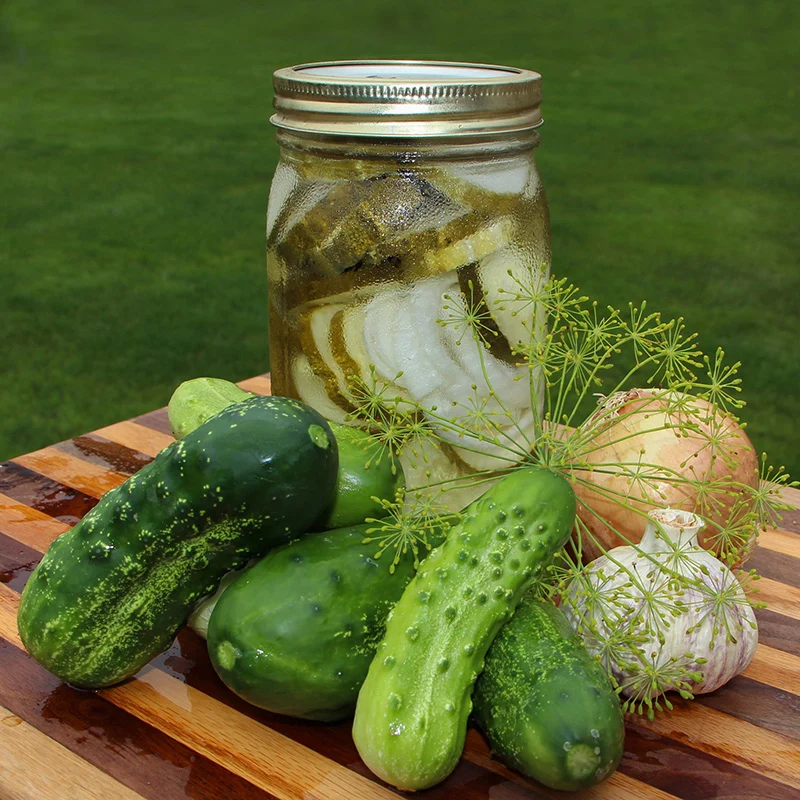 Gurke- Homemade Pickles