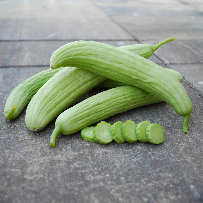 Armenische Gurke - Armenian Pale Green
