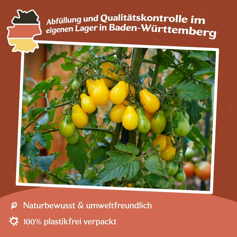 Perun Tomatensamen