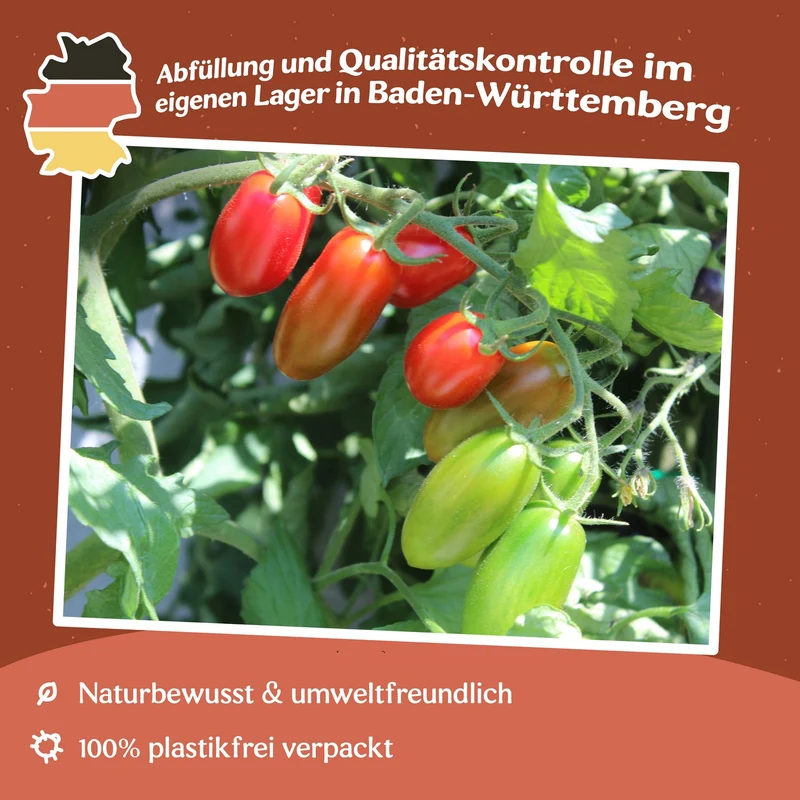 Valdo Tomatensamen