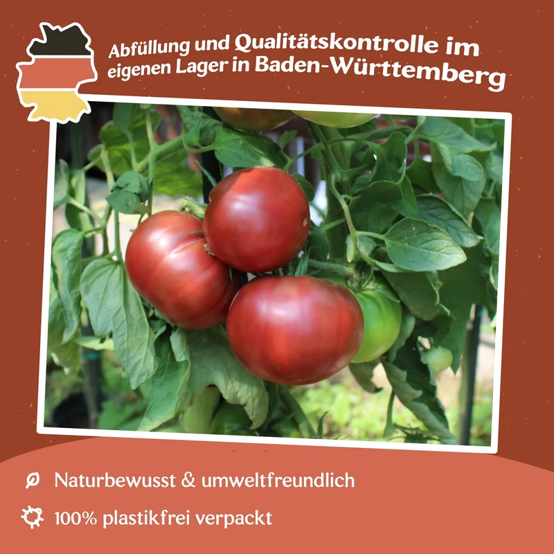Noire de Crimée Tomatensamen