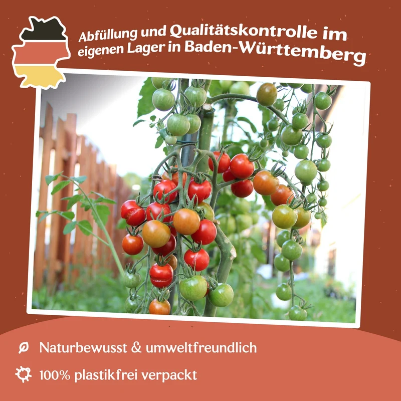 Supersweet 100 F1 Tomatensamen