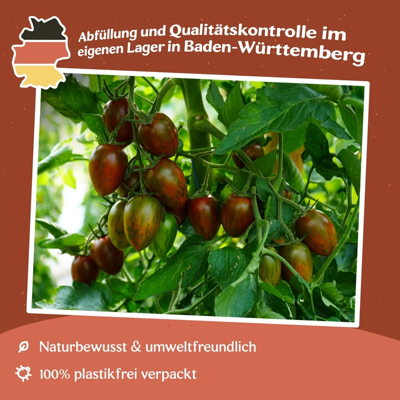 Shimmer F1 Tomatensamen