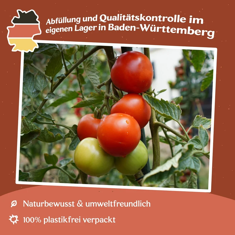 Hellfrucht/Hilmar Tomatensamen