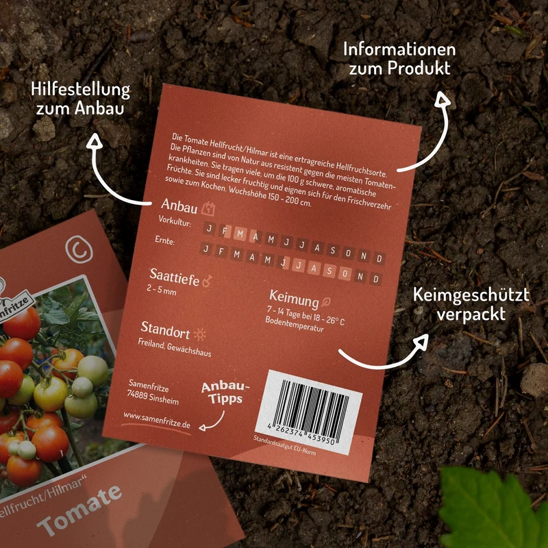 Hellfrucht/Hilmar Tomatensamen