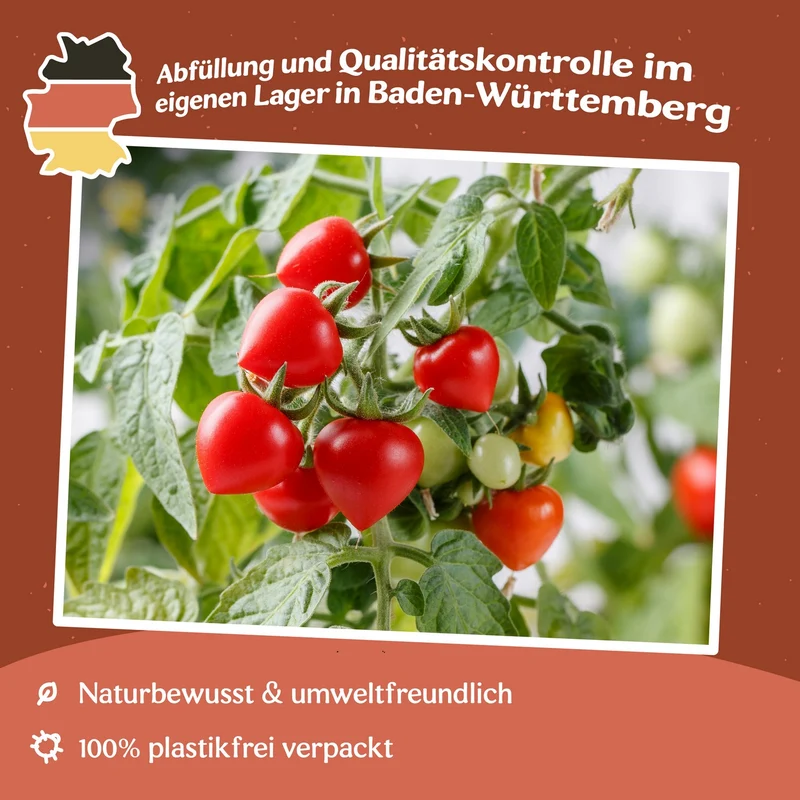 Heartbreaker Vita F1 Tomatensamen