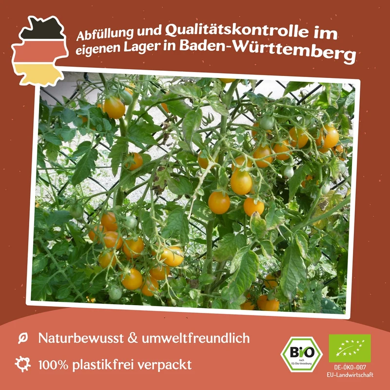 Dattelwein Bio-Tomatensamen