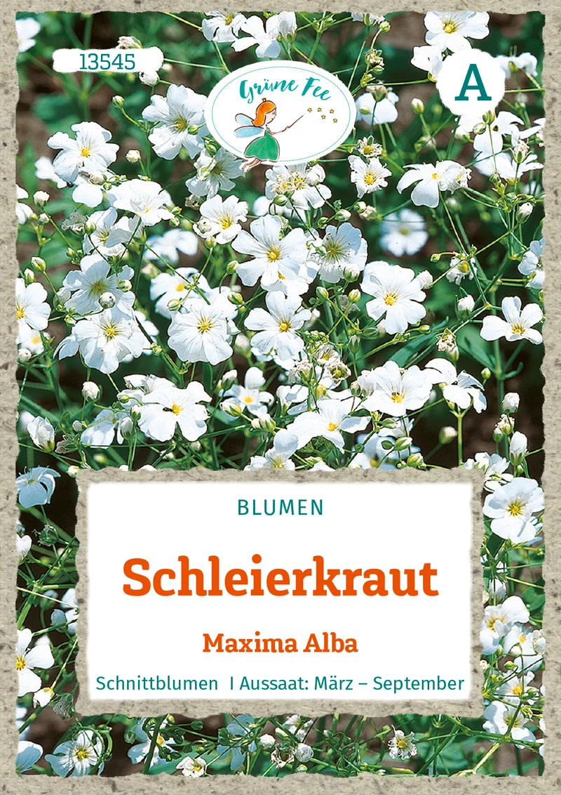 Schleierkraut Maxima Alba Saatgut