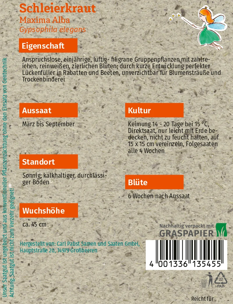 Schleierkraut Maxima Alba Saatgut