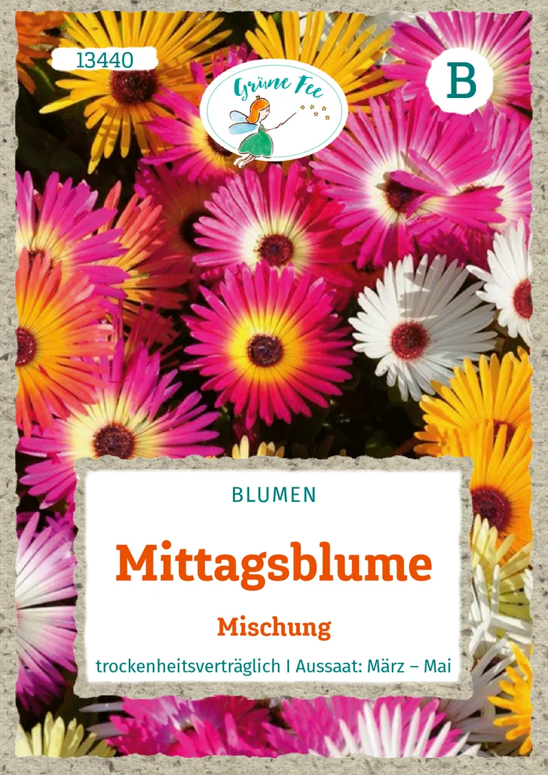 Mittagsblume Mischung Saatgut