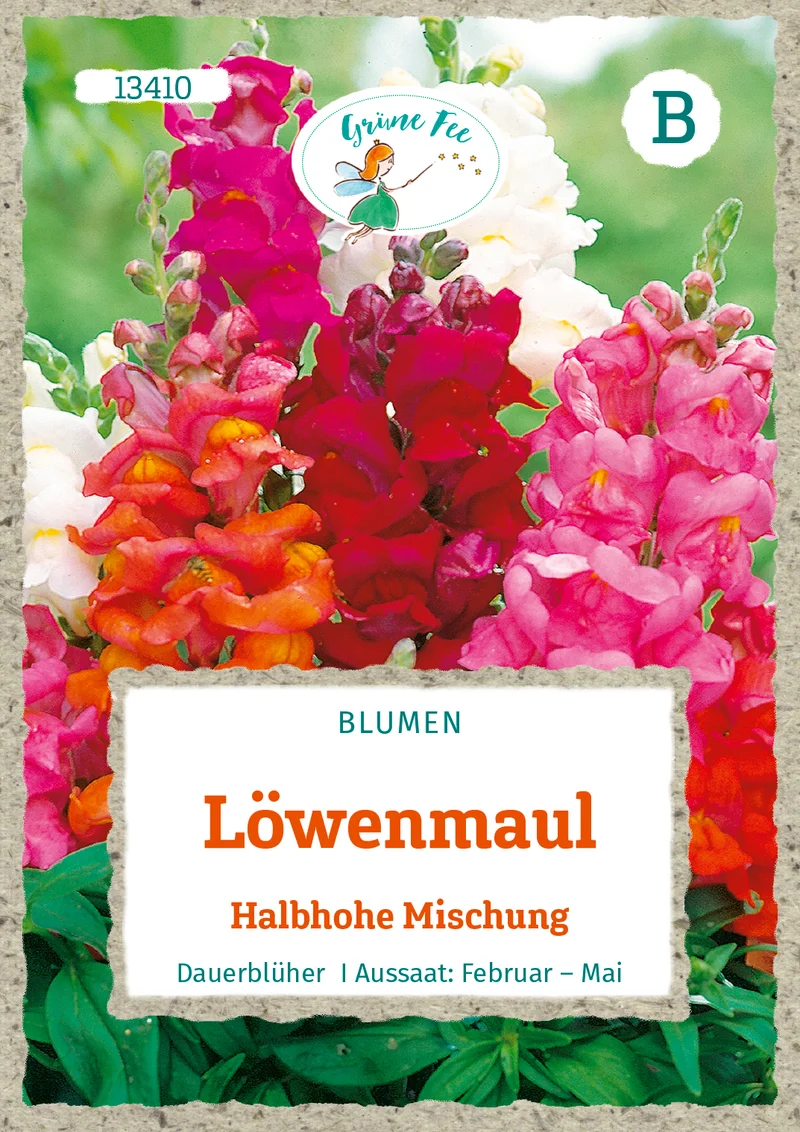 Löwenmaul Halbhohe Mischung Saatgut