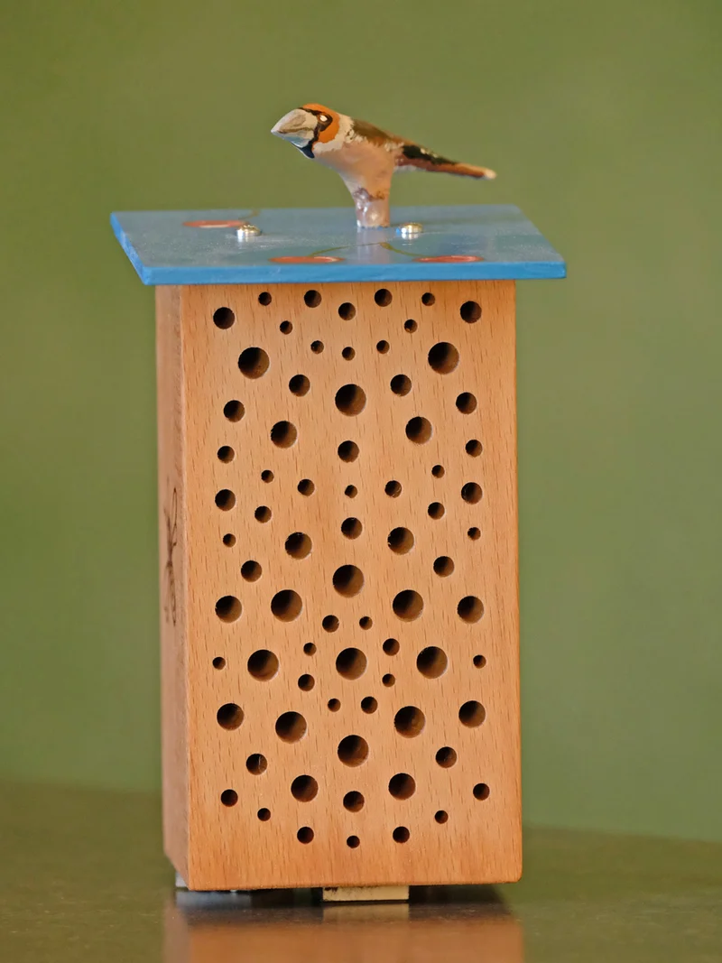 Birdie-bee Kernbeißer