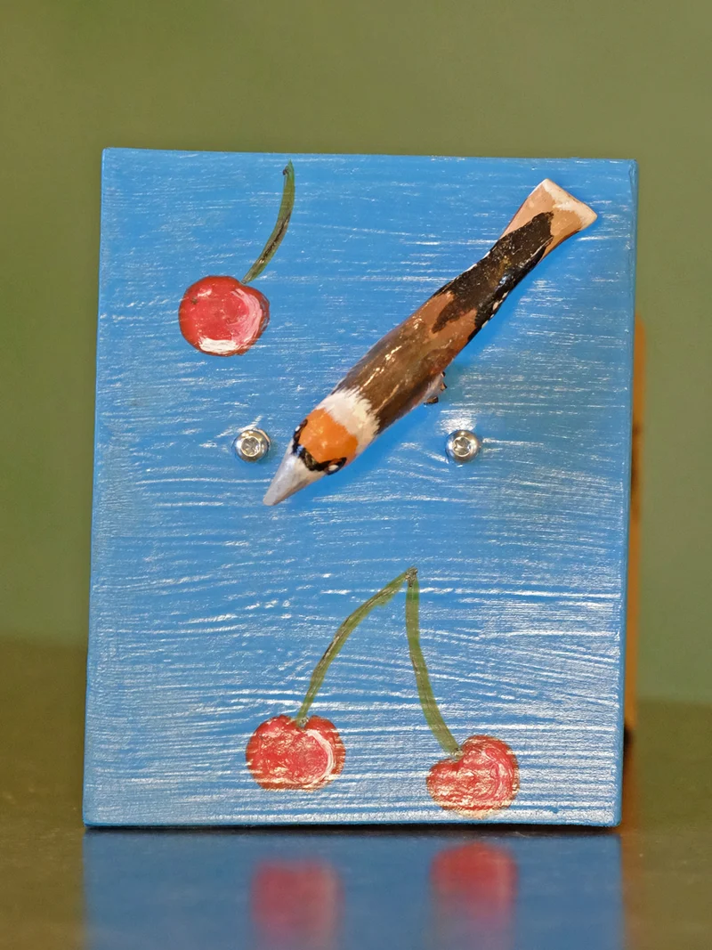 Birdie-bee Kernbeißer
