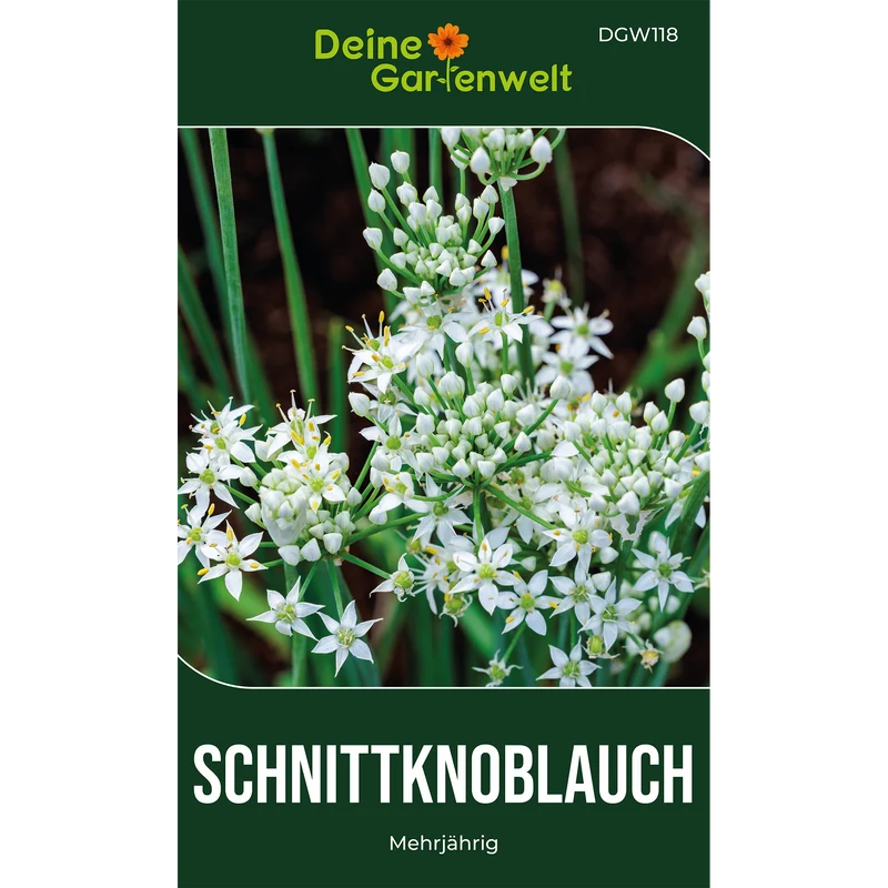Schnittknoblauch Saatgut
