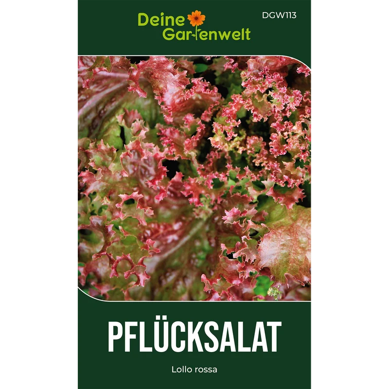 Pflücksalat Lollo rossa Saatgut