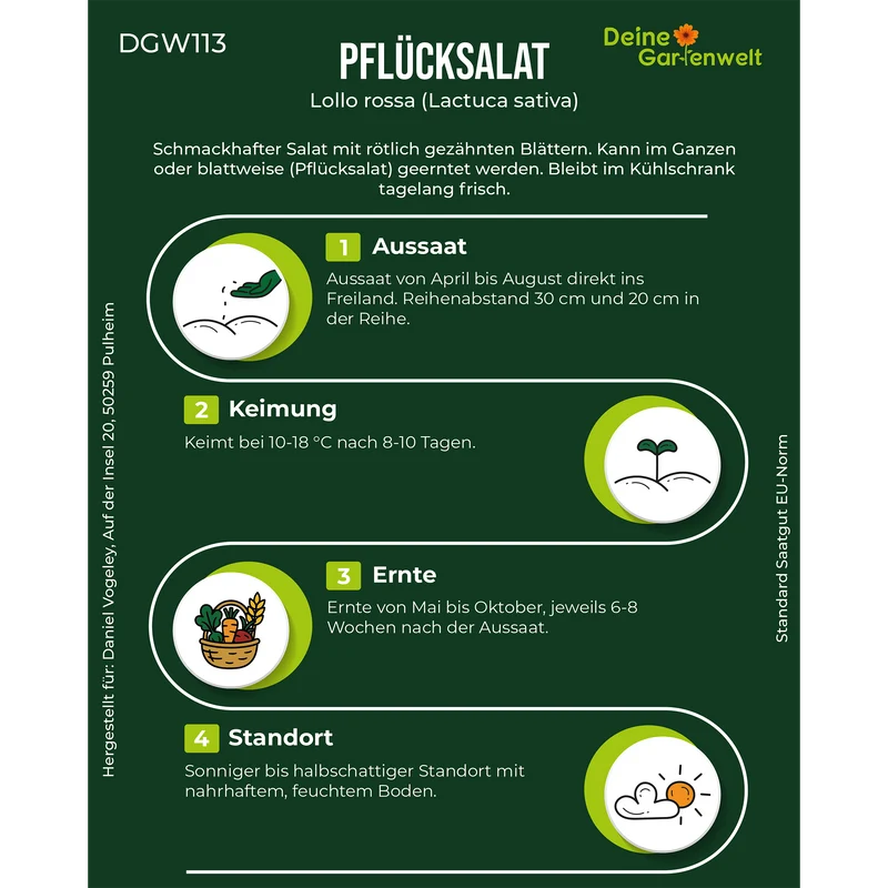Pflücksalat Lollo rossa Saatgut
