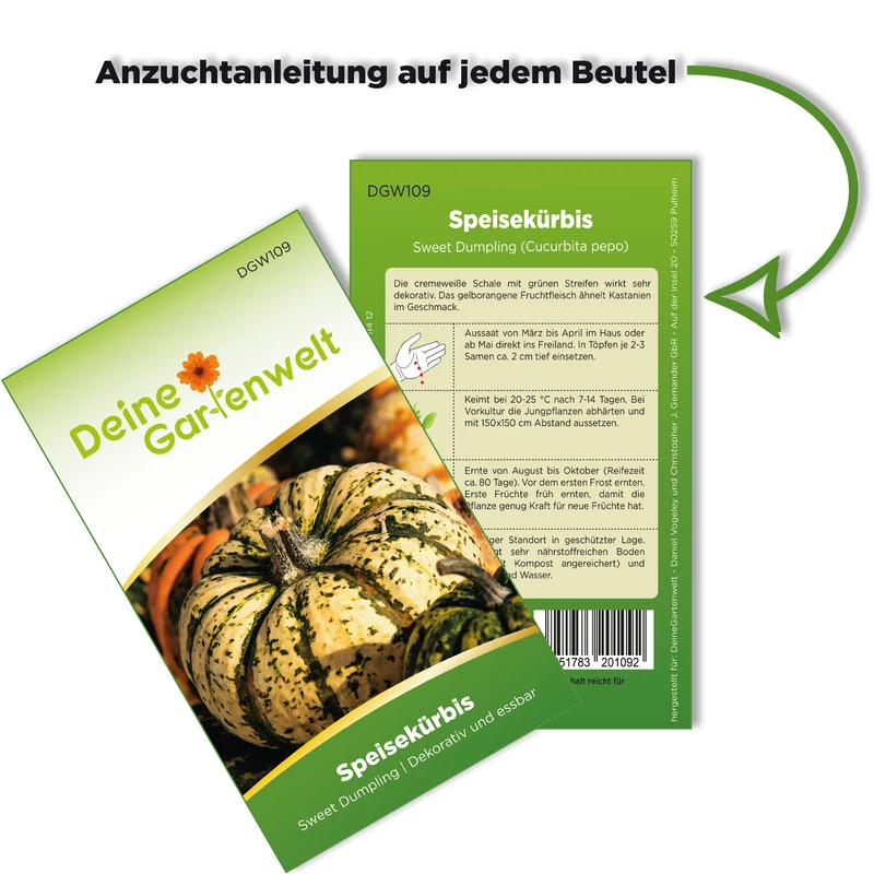 Kürbis Sweet Dumpling Saatgut