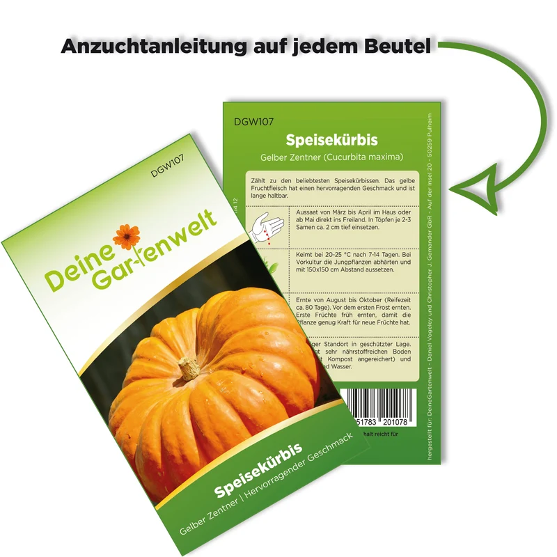 Kürbis Gelber Zentner Saatgut