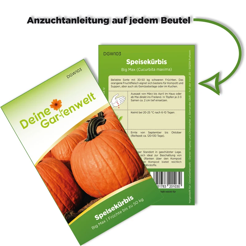 Speisekürbis Big Max Saatgut