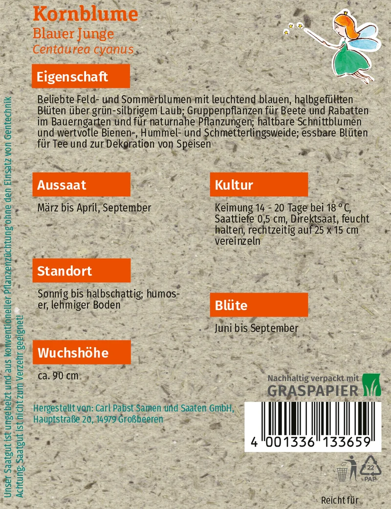 Kornblume Blauer Junge Saatgut