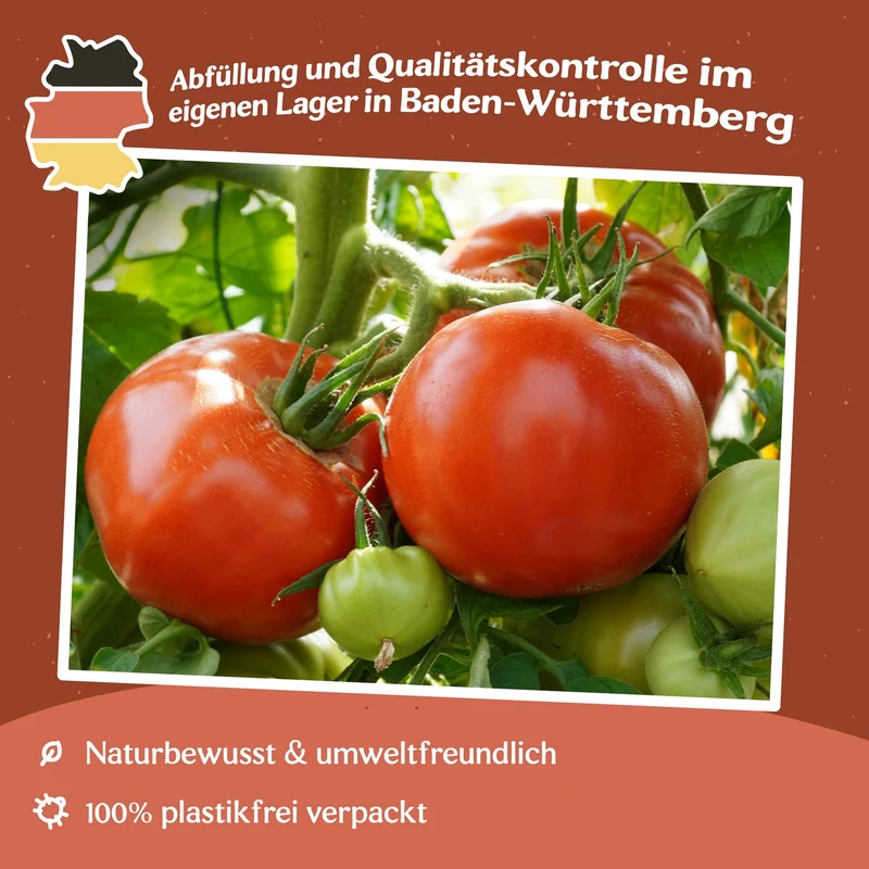 Supersteak F1 Tomatensamen