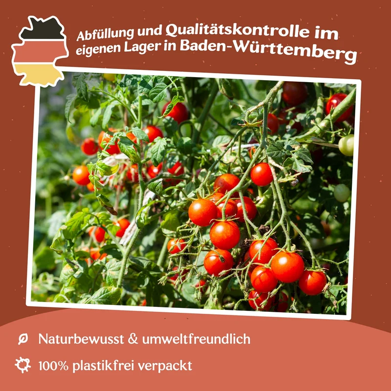 Baby Boomer F1 Tomatensamen