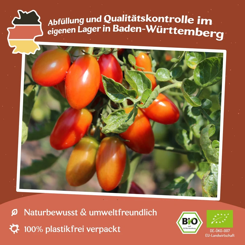 Celsior Bio-Tomatensamen