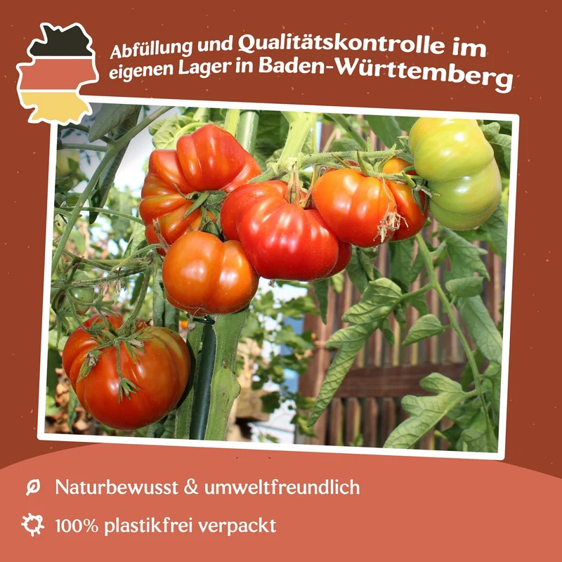 Pantano Romanesco Tomatensamen