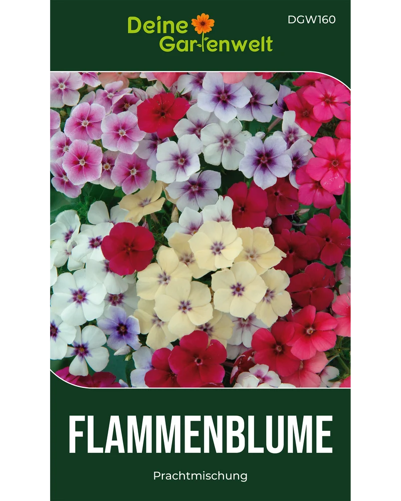 Flammenblumen Prachtmischung Saatgut