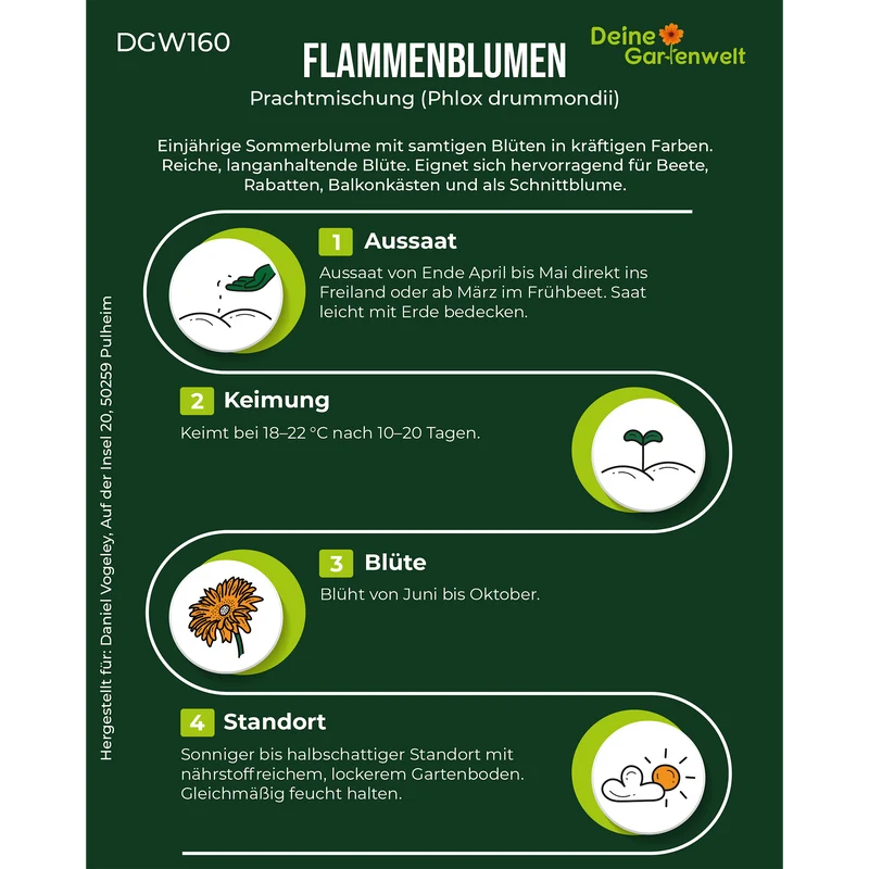 Flammenblumen Prachtmischung Saatgut