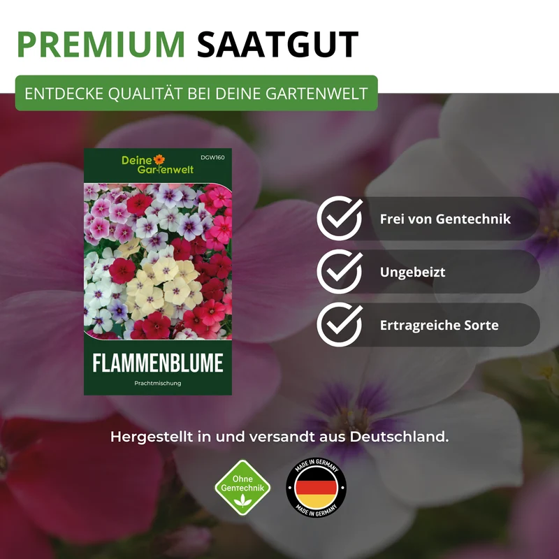 Flammenblumen Prachtmischung Saatgut