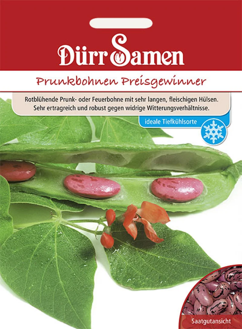 Prunkbohnen Preisgewinner Saatgut