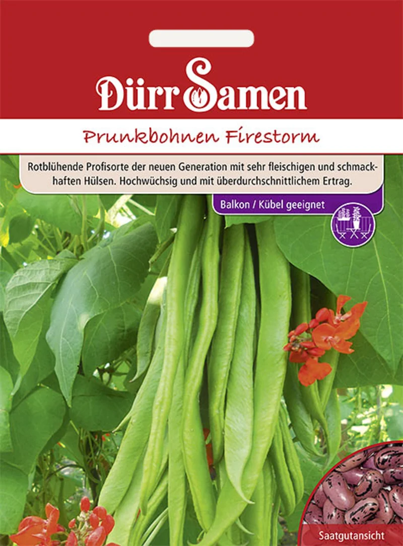 Feuerbohnen Firestorm Saatgut