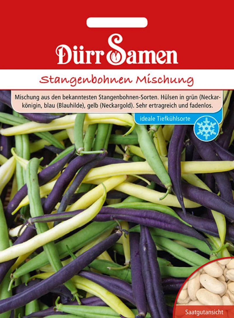 Stangenbohne Mischung Saatgut