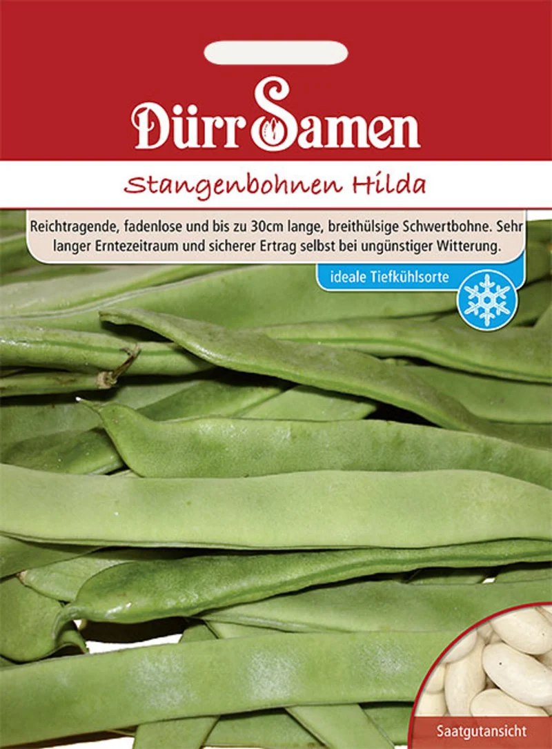 Stangenbohne Hilda Saatgut