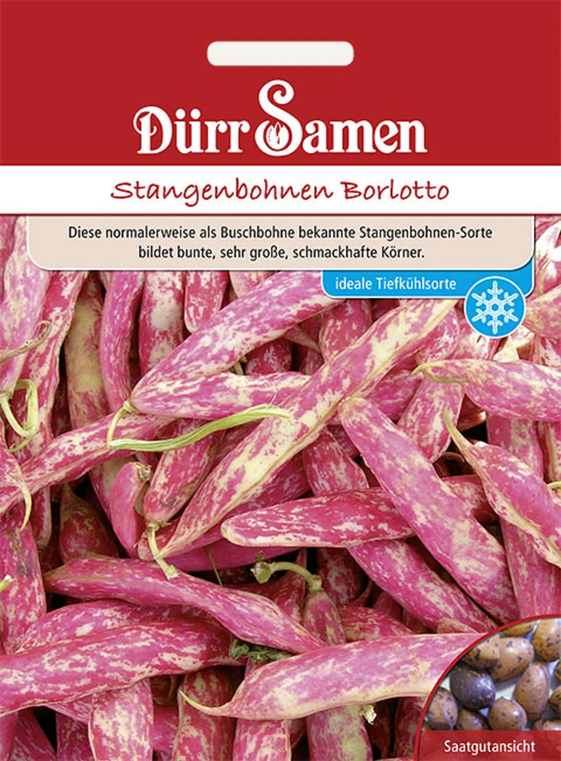 Stangenbohne Borlotto Typ Saatgut