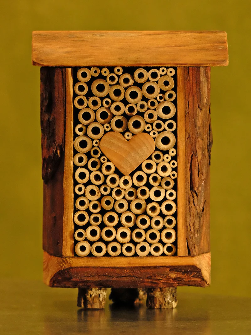 Dougly-bee