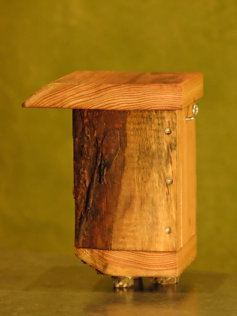 Dougly-bee