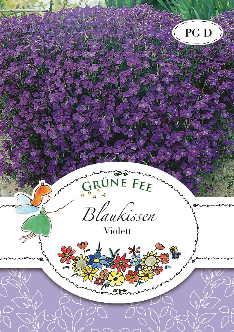 Blaukissen Violett Saatgut