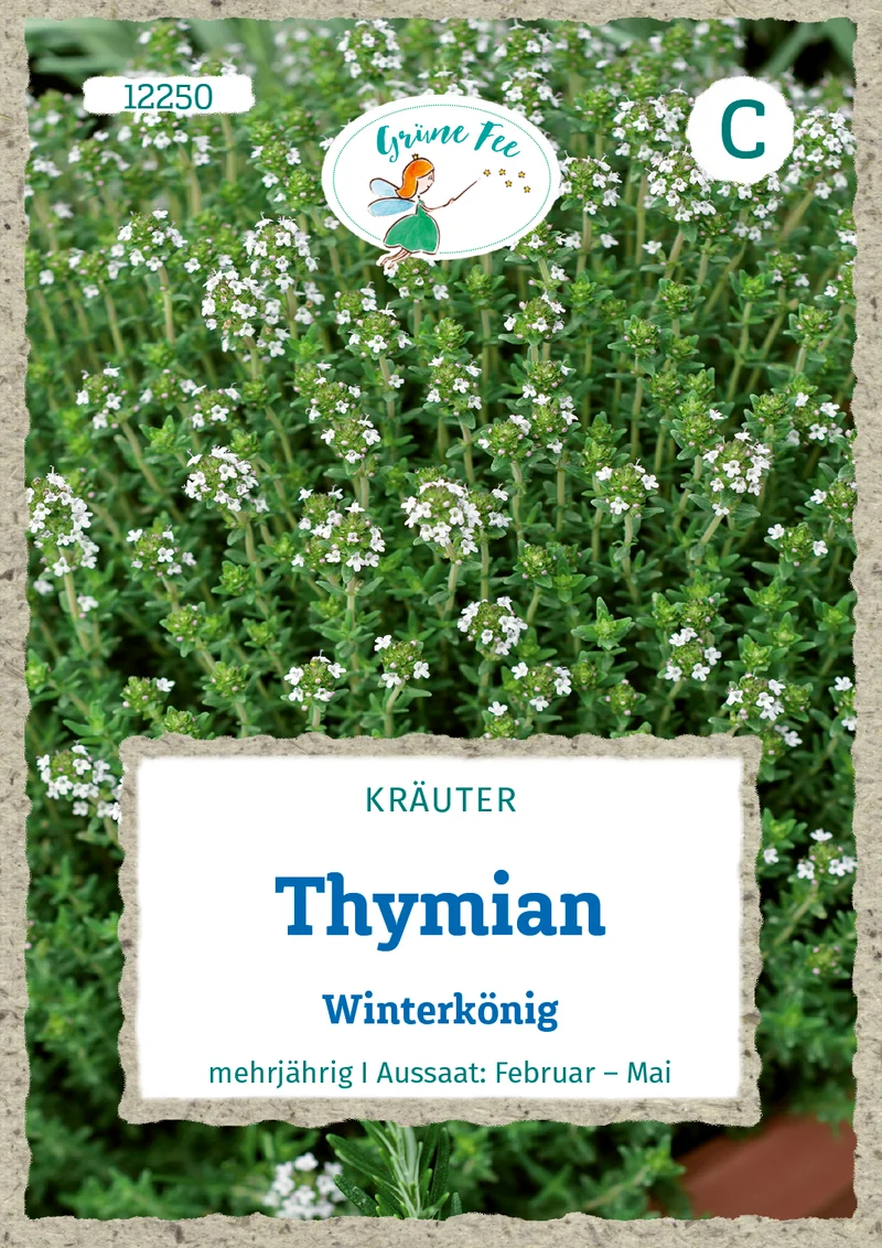 Thymian Winterkönig Saatgut