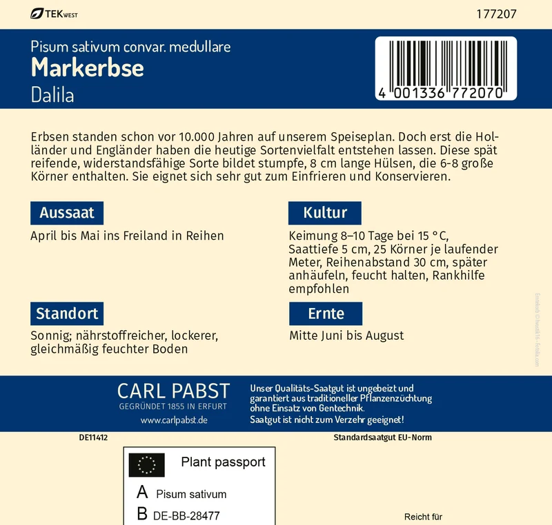 Markerbse Dalila Saatgut